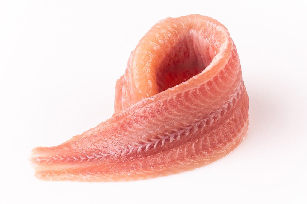 2019-07-fish-011